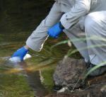 Water_sampling_banner_Mozaic_Copyright_Consult_5_4357.JPG